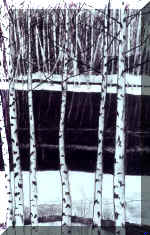 art-birch.jpg (31608 byte)
